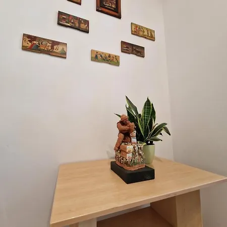 Medeni Apartma Apartment Pivka