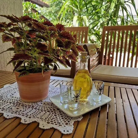 Апартаменты Medeni Apartma Пивка