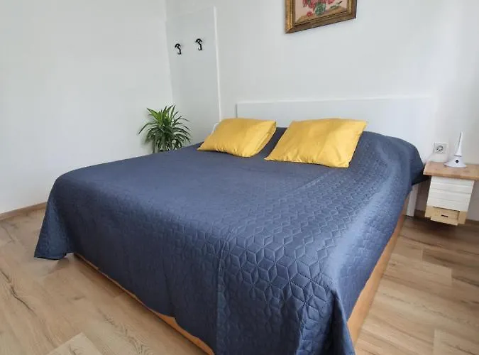 Medeni Apartma 公寓 皮夫卡